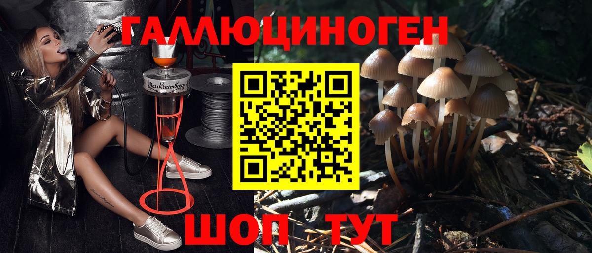 Псилоцибиновые грибы прущие грибы  Вход с VPN  Псилоцибиновые грибы мицелий  Сальск 