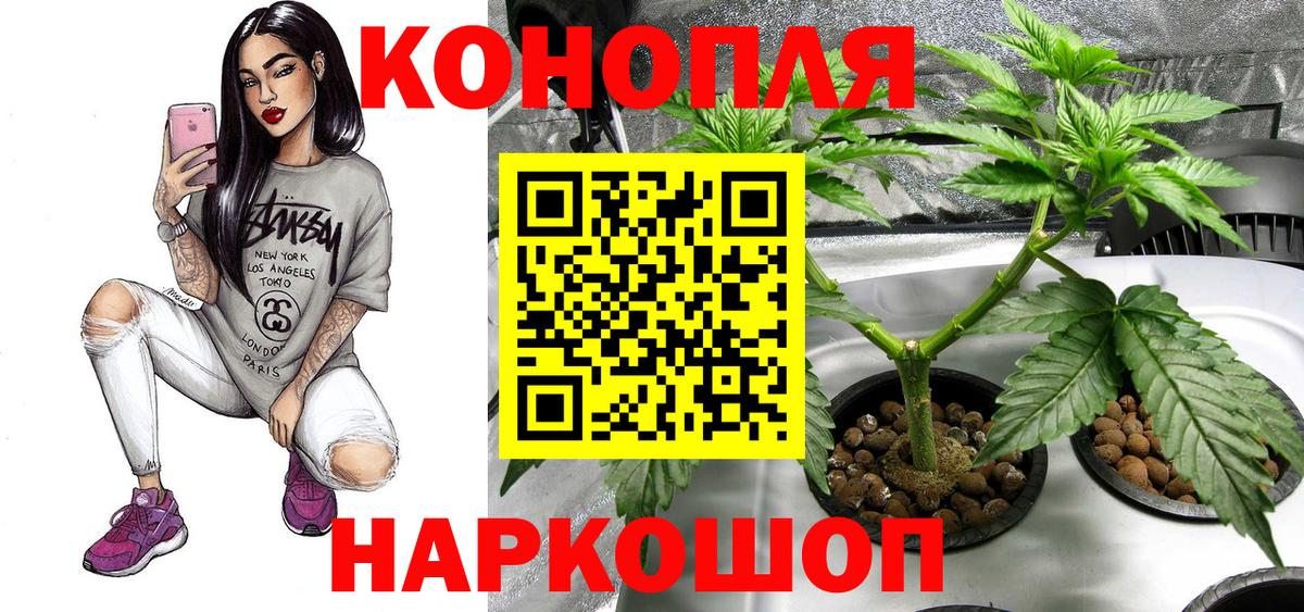 Бошки марихуана гибрид  Каннабис VHQ  Марихуана ГИДРОПОН  Сальск  Вход с VPN 